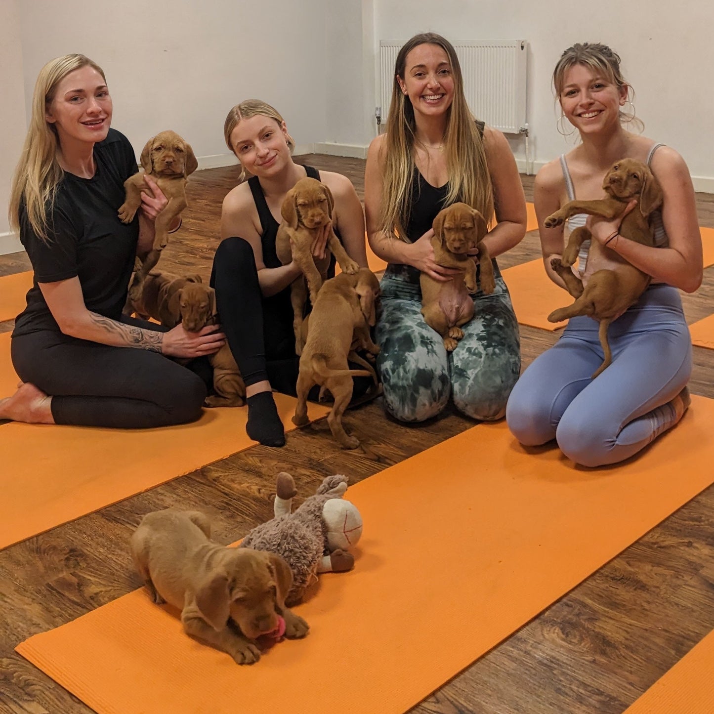 puppy yoga