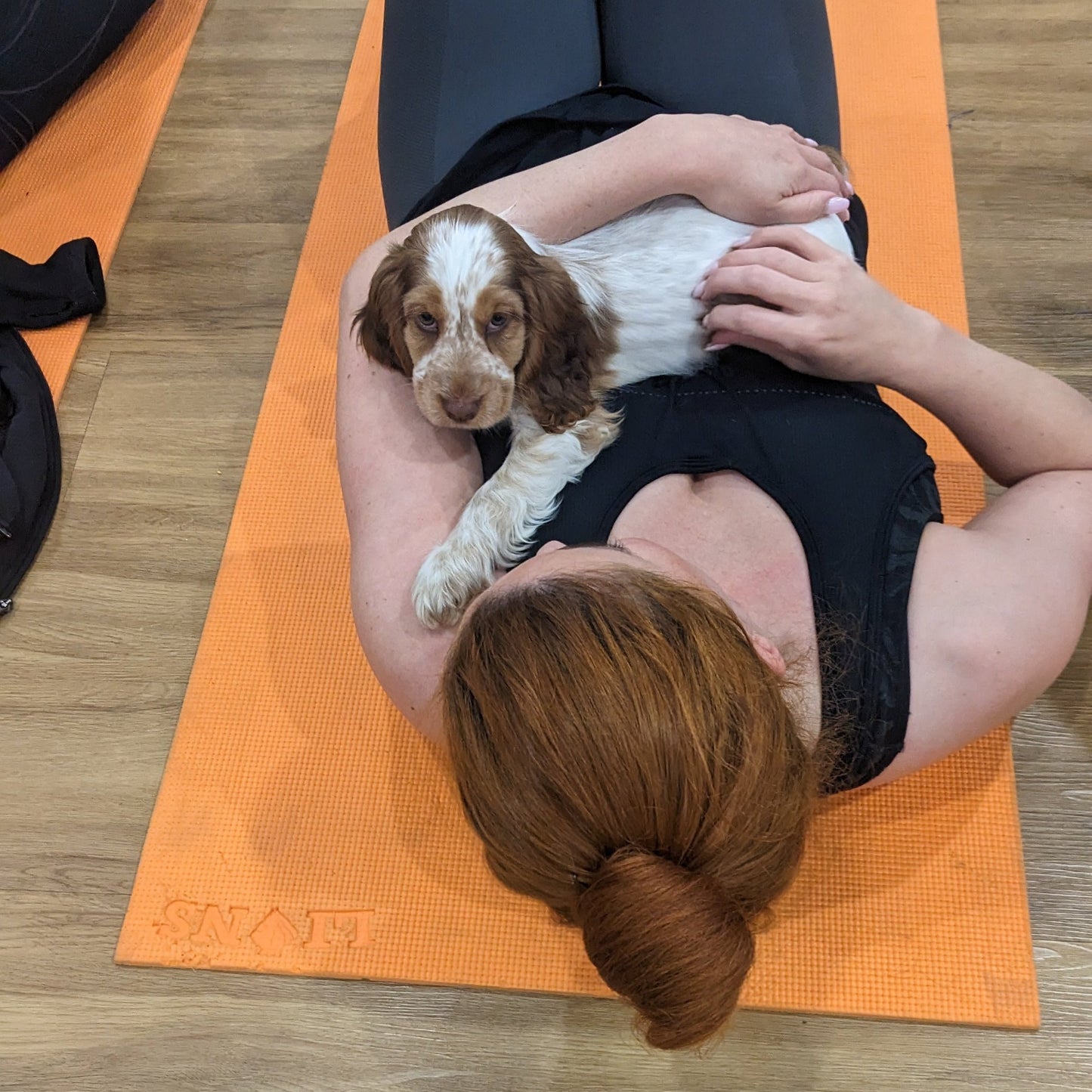 puppy yoga