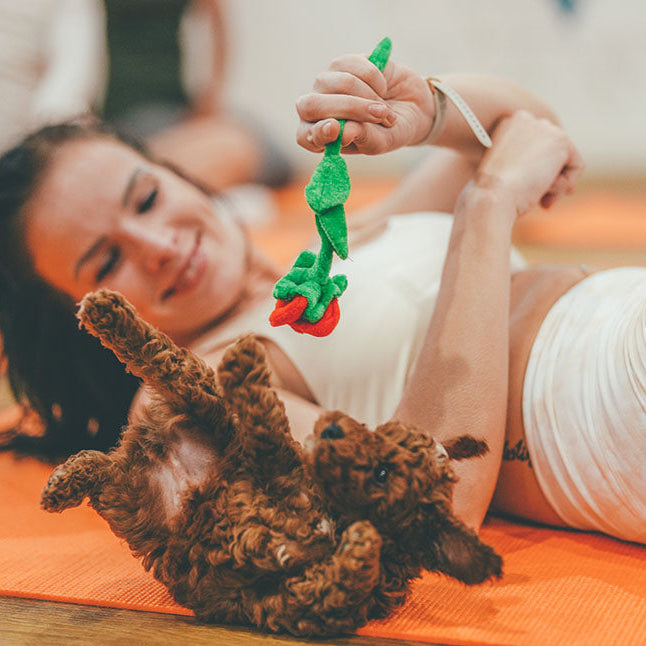 puppy yoga