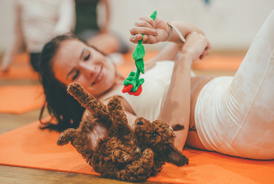 puppy yoga