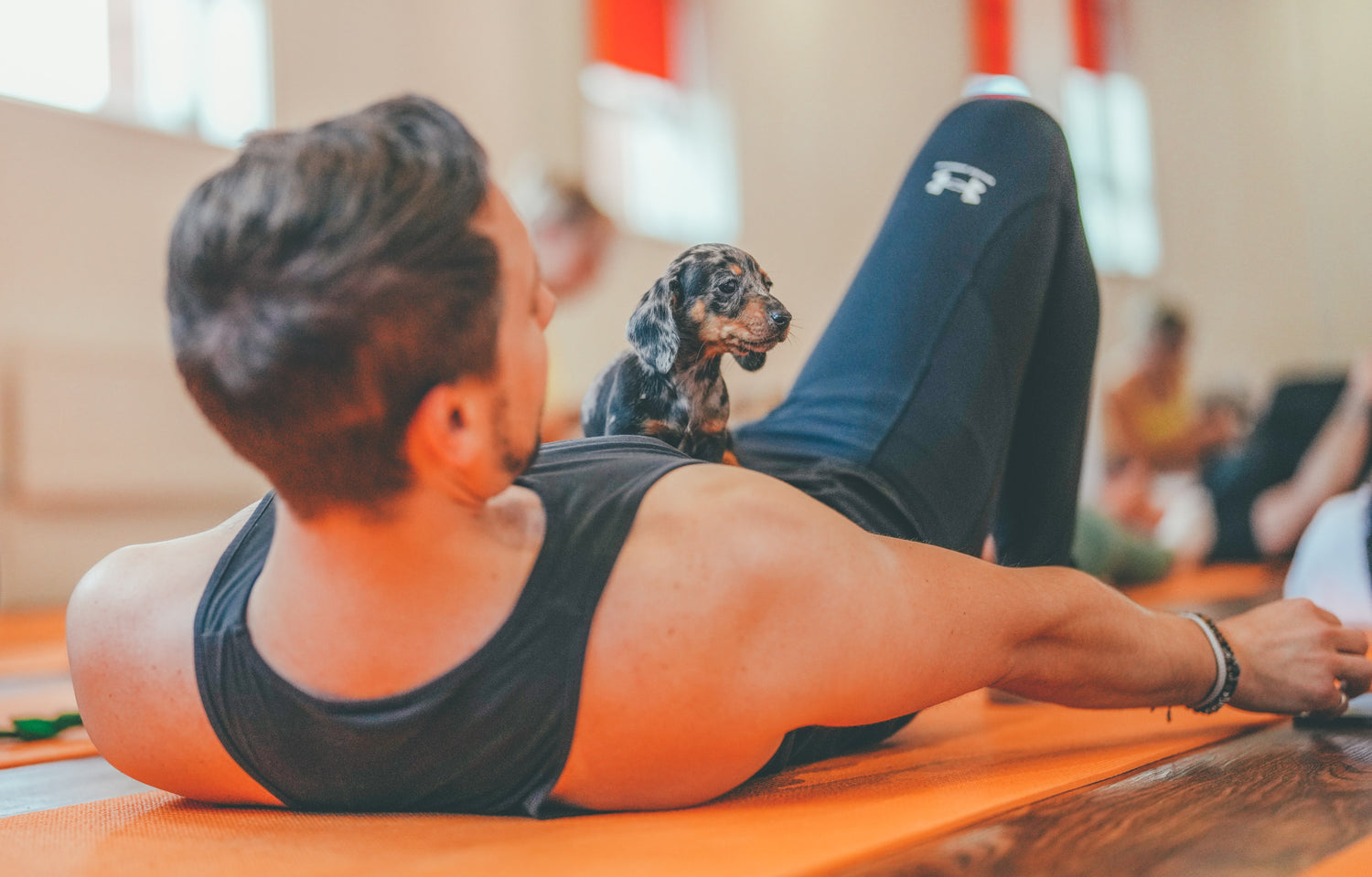 Puppy yoga