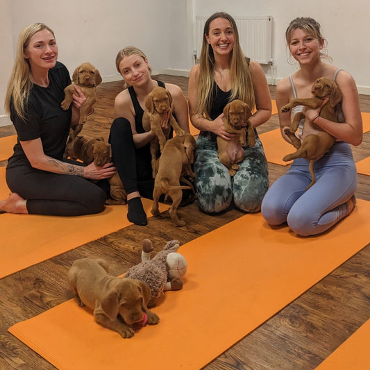 puppy yoga
