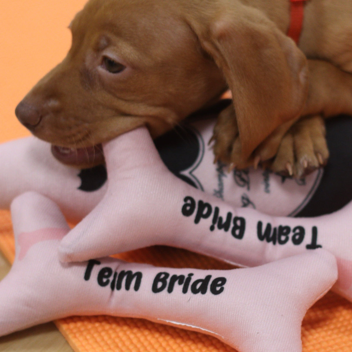 puppy yoga hen party