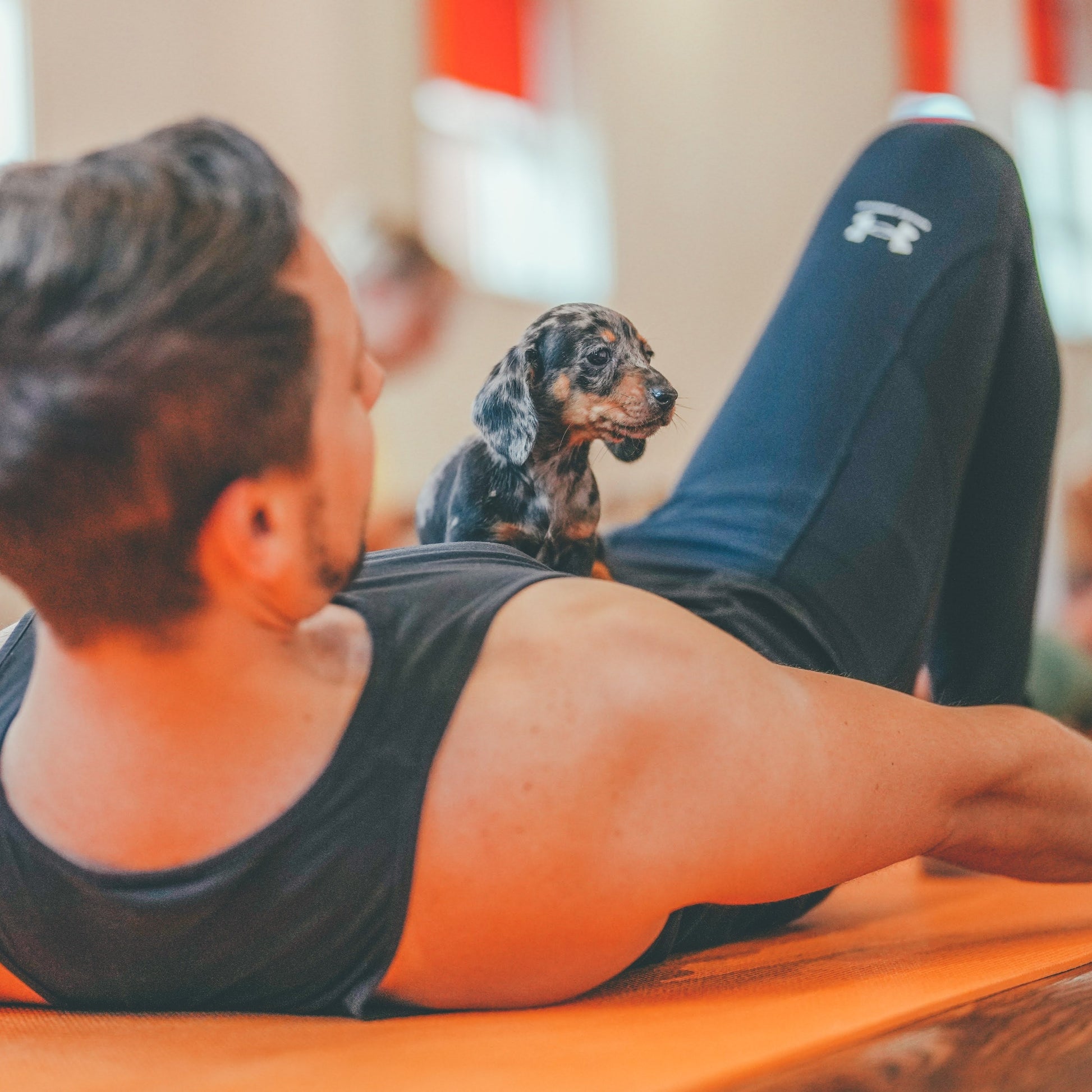 puppy yoga