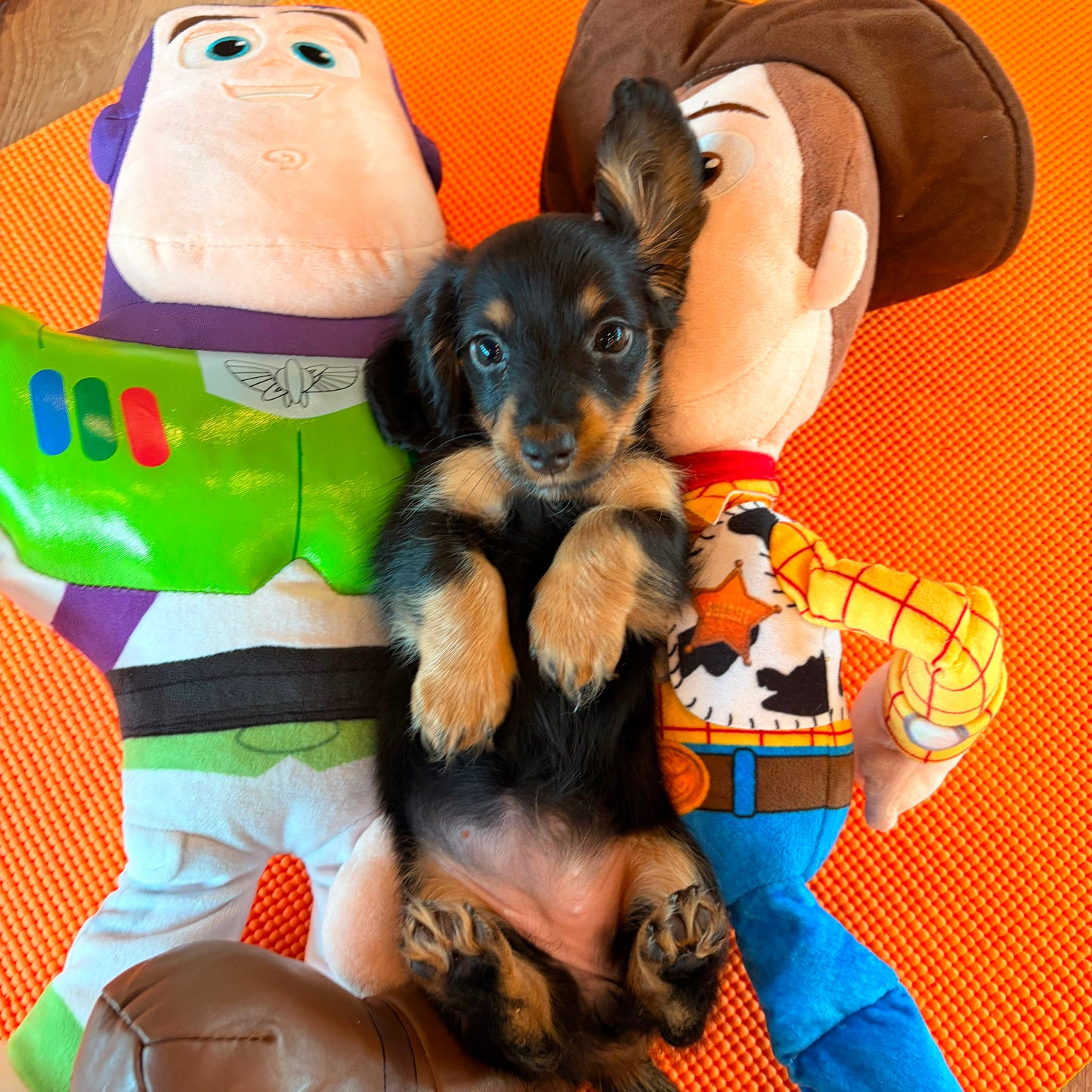 toy story puppy yoga