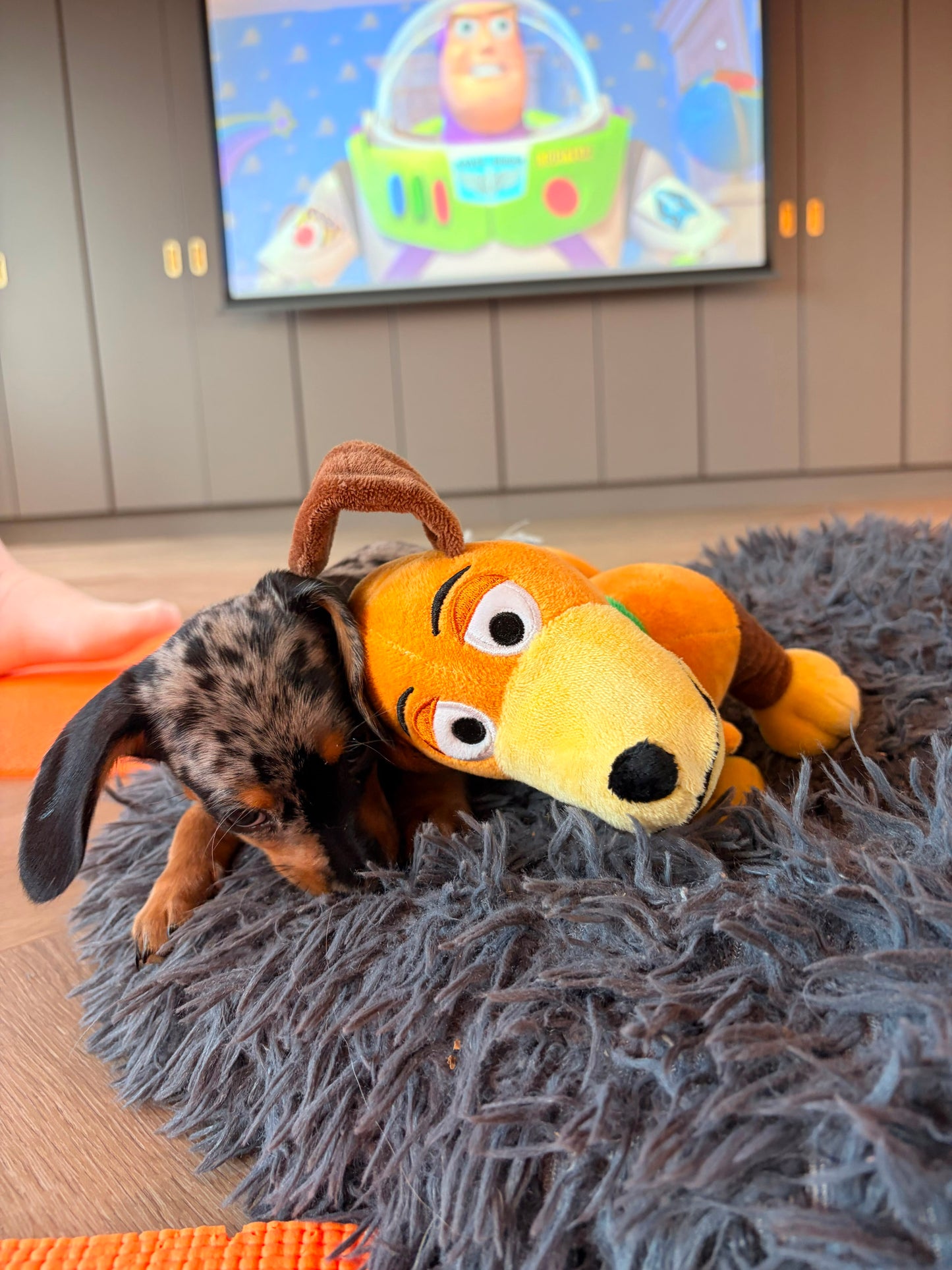 toy story puppy yoga