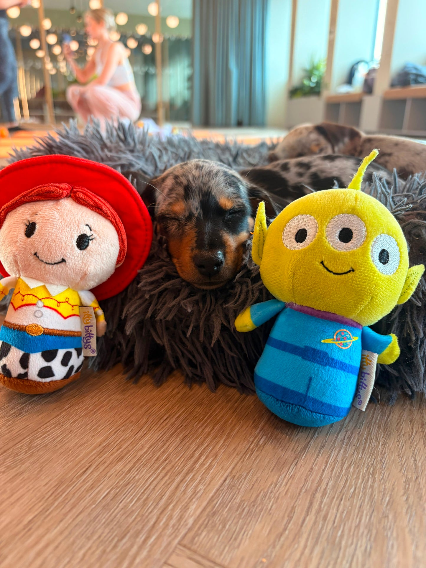 toy story puppy yoga 