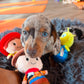 toy story puppy yoga