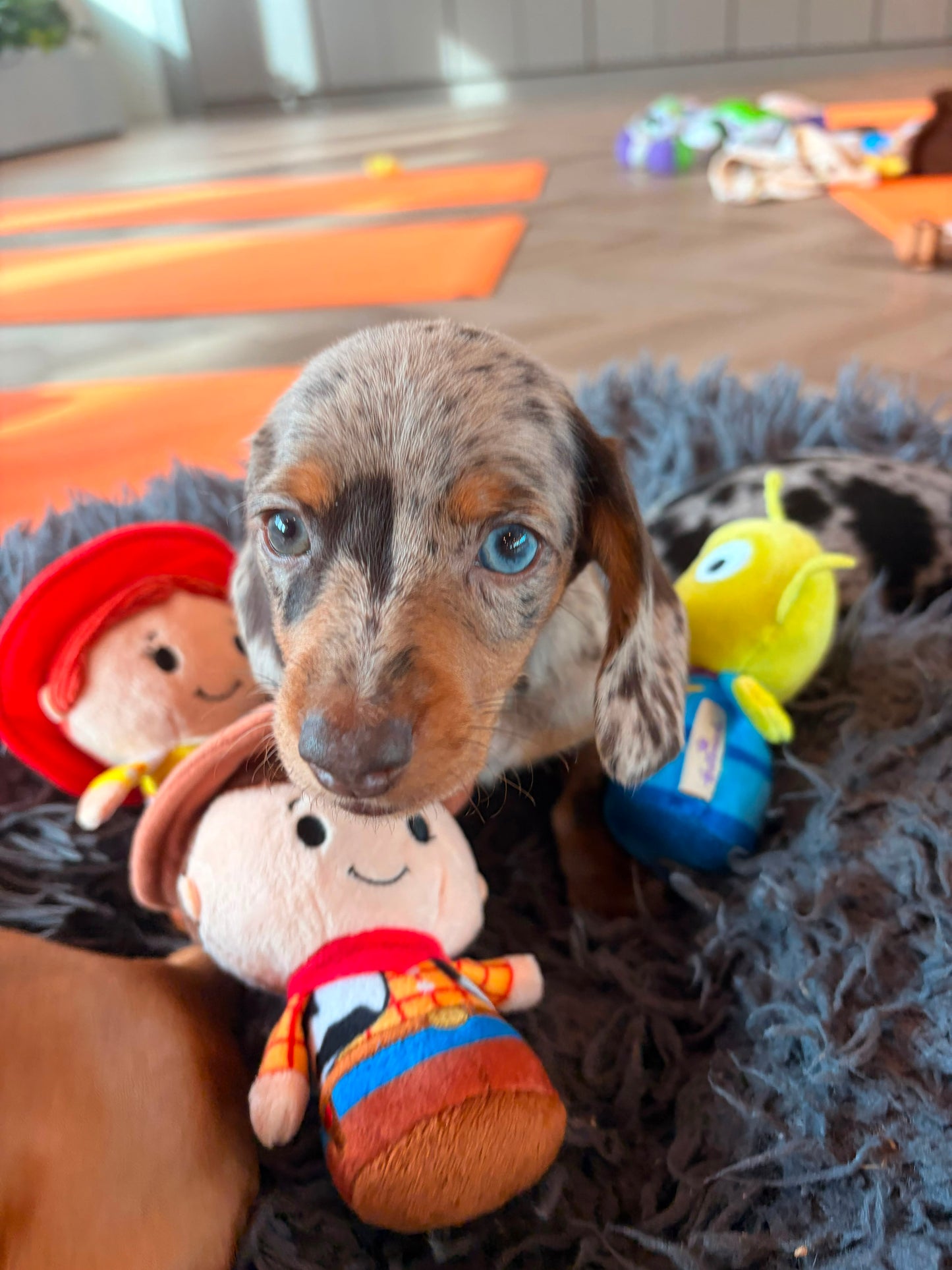 toy story puppy yoga